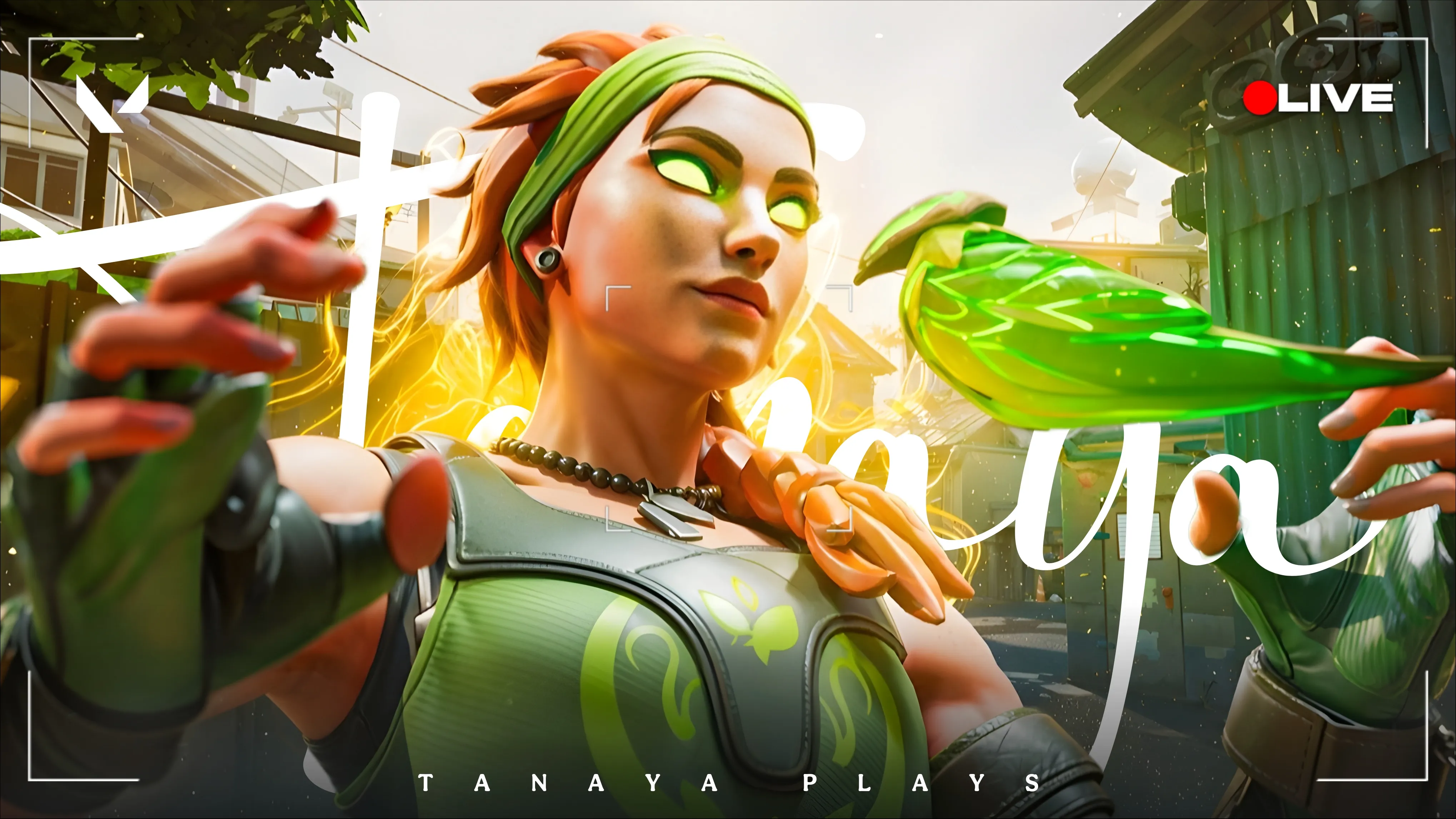 YouTube Thumbnail 40